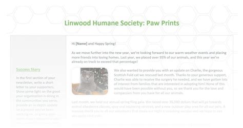 15 Nonprofit Newsletter Tips to Take Your Fundraising to the.